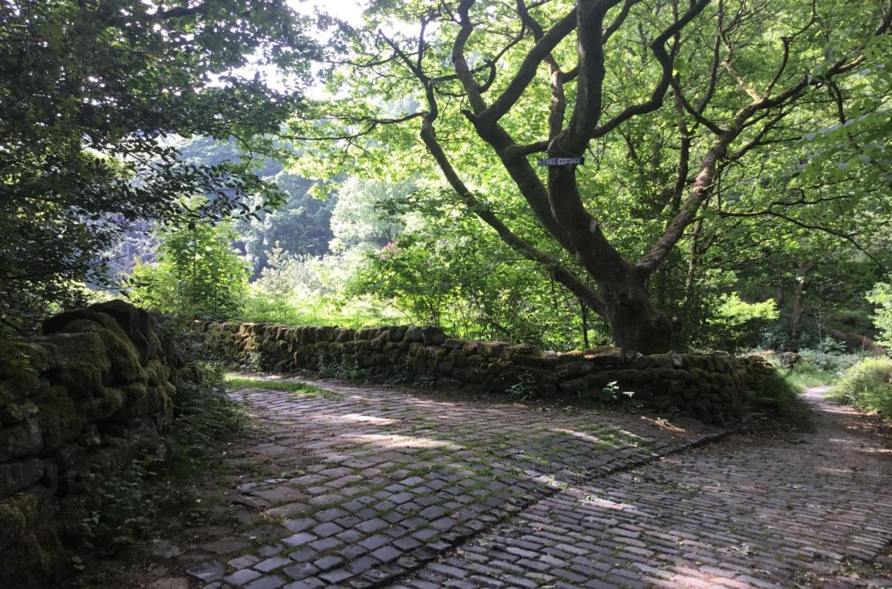 Tyas Cottage Slaithwaite Dış mekan fotoğraf